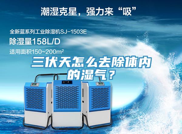 三伏天怎么去除體內(nèi)的濕氣？