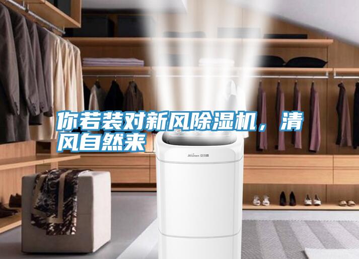 你若裝對新風除濕機，清風自然來