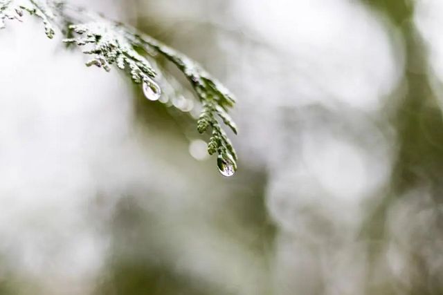 空氣濕度大帶來(lái)的危害有哪些，你知道嗎？
