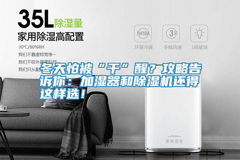 冬天怕被“干”醒？攻略告訴你：加濕器和除濕機還得這樣選！