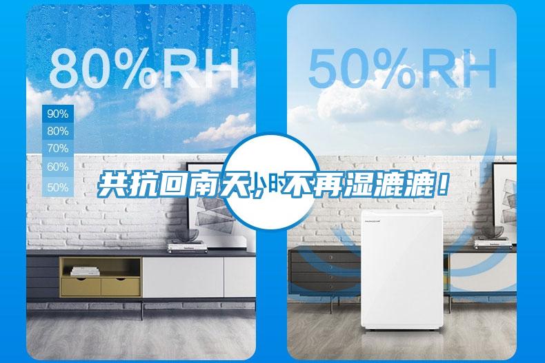 共抗回南天，不再濕漉漉！