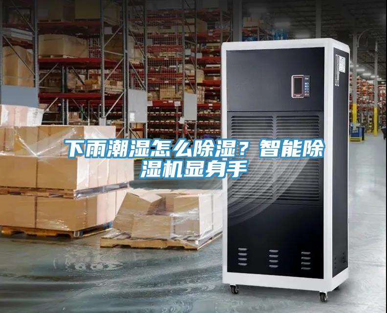 下雨潮濕怎么除濕？智能除濕機(jī)顯身手