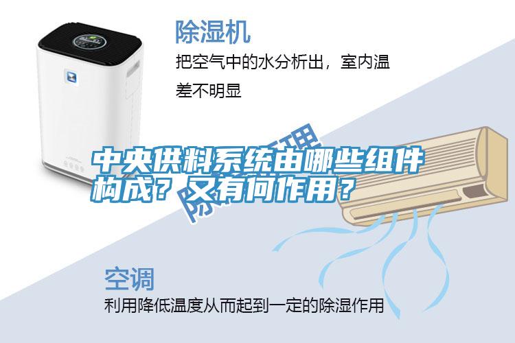 中央供料系統(tǒng)由哪些組件構(gòu)成？又有何作用？