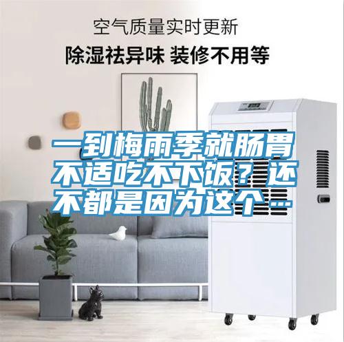 一到梅雨季就腸胃不適吃不下飯？還不都是因?yàn)檫@個(gè)…