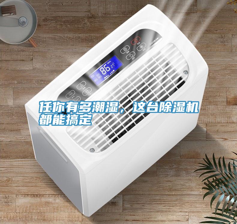 任你有多潮濕，這臺除濕機(jī)都能搞定