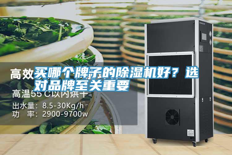 買哪個(gè)牌子的除濕機(jī)好？選對品牌至關(guān)重要
