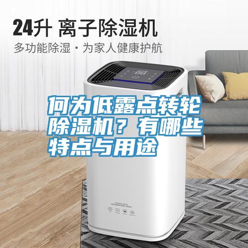 何為低露點(diǎn)轉(zhuǎn)輪除濕機(jī)？有哪些特點(diǎn)與用途