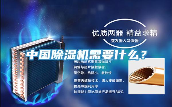 中國(guó)除濕機(jī)需要什么？
