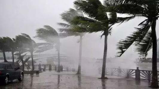8月臺風雨即將來，除濕機還得用起來