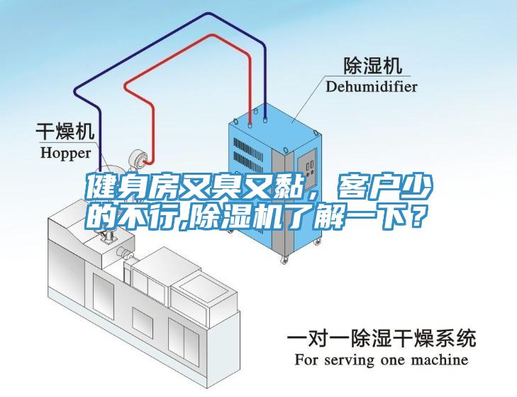 健身房又臭又黏，客戶少的不行,除濕機(jī)了解一下？
