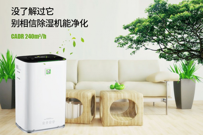 一到回南天狗狗就感冒+皮膚病，怎么辦？