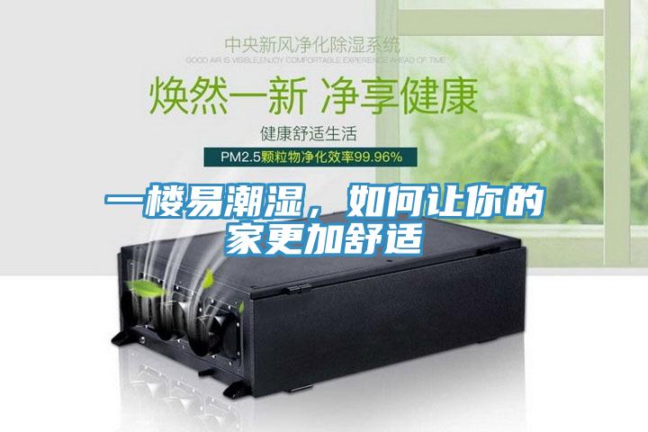 一樓易潮濕，如何讓你的家更加舒適