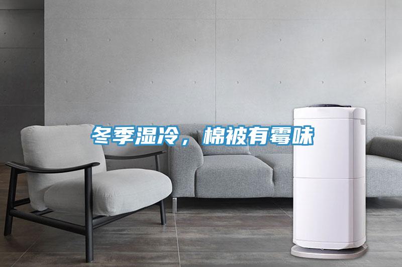 冬季濕冷，棉被有霉味