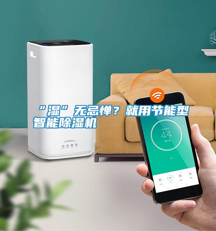 “濕”無忌憚？就用節(jié)能型智能除濕機(jī)