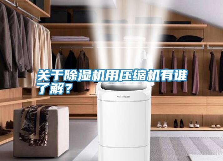 關(guān)于除濕機(jī)用壓縮機(jī)有誰了解？