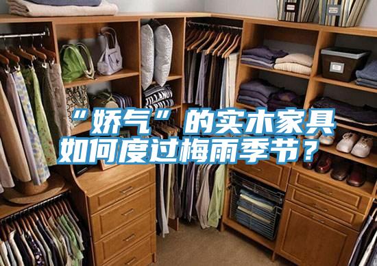 “嬌氣”的實(shí)木家具如何度過梅雨季節(jié)？