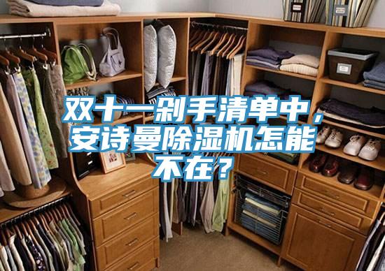 雙十一剁手清單中，安詩曼除濕機怎能不在？