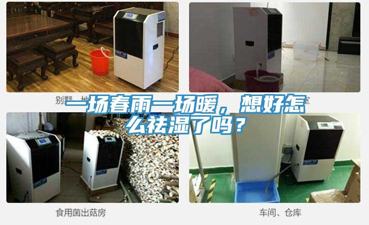 一場春雨一場暖，想好怎么祛濕了嗎？