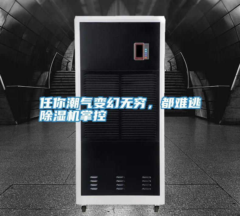 任你潮氣變幻無窮，都難逃除濕機(jī)掌控