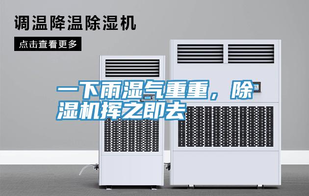 一下雨濕氣重重，除濕機(jī)揮之即去