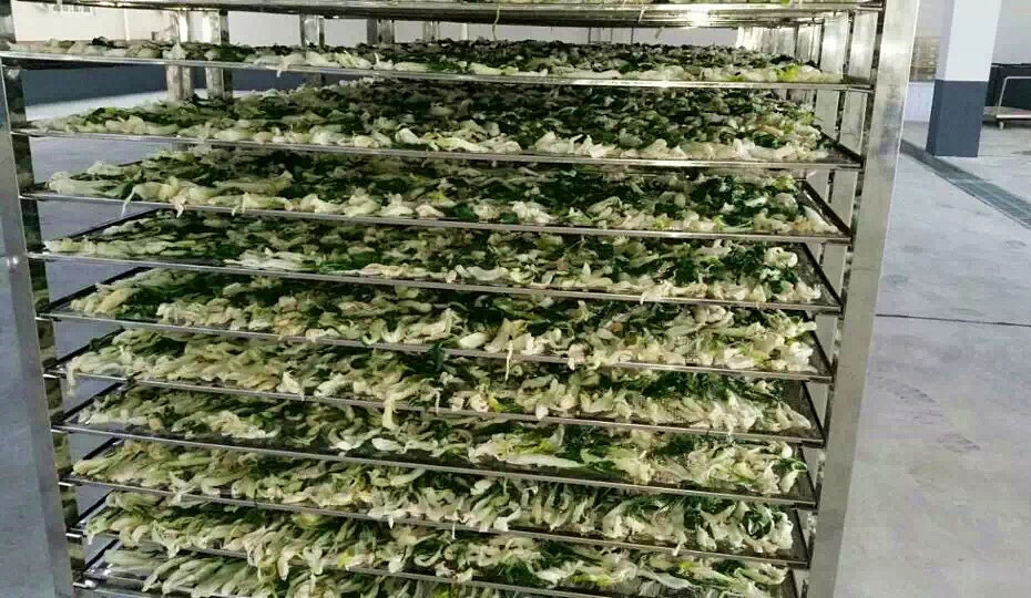菜干需求一直都很大，蔬菜烘干機(jī)很有市場