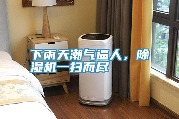 下雨天潮氣逼人，除濕機(jī)一掃而盡