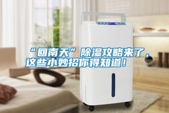 “回南天”除濕攻略來了，這些小妙招你得知道！
