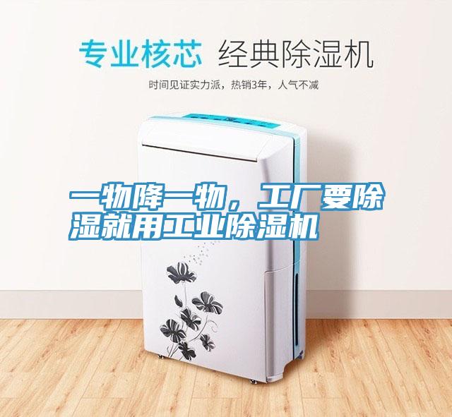 一物降一物，工廠要除濕就用工業(yè)除濕機