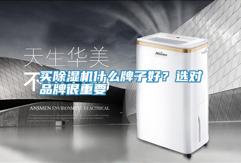 買(mǎi)除濕機(jī)什么牌子好？選對(duì)品牌很重要