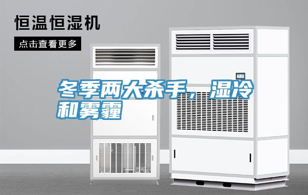 冬季兩大殺手，濕冷和霧霾