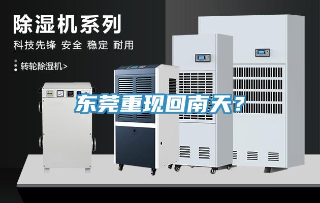 東莞重現(xiàn)回南天？