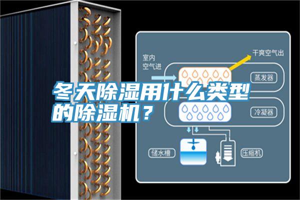 冬天除濕用什么類型的除濕機？