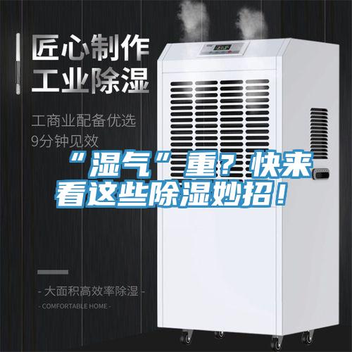 “濕氣”重？快來看這些除濕妙招！