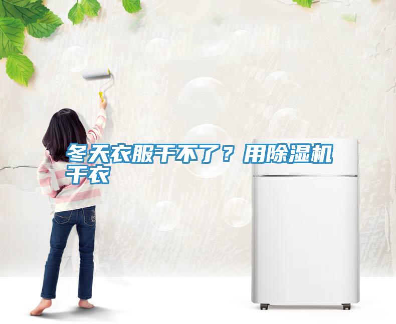 冬天衣服干不了？用除濕機干衣