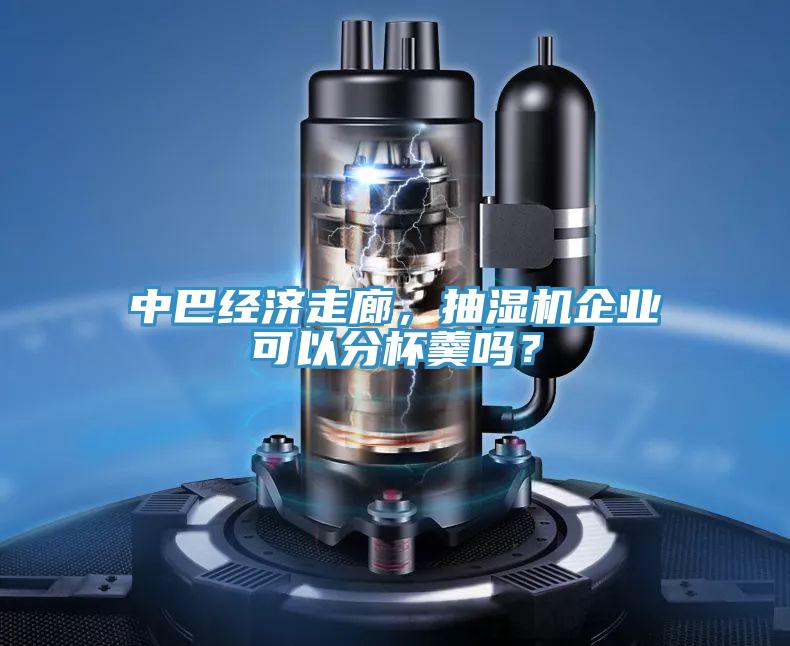 中巴經(jīng)濟走廊，抽濕機企業(yè)可以分杯羹嗎？