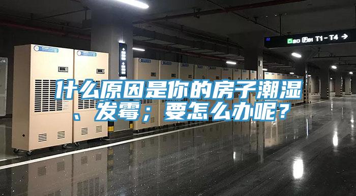什么原因是你的房子潮濕、發(fā)霉；要怎么辦呢？