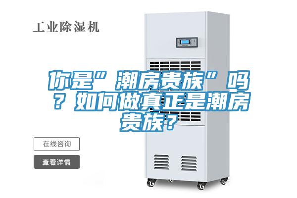 你是”潮房貴族”嗎？如何做真正是潮房貴族？