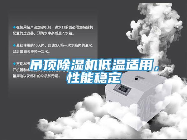 吊頂除濕機(jī)低溫適用，性能穩(wěn)定