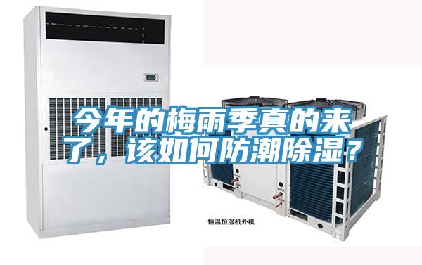今年的梅雨季真的來了，該如何防潮除濕？