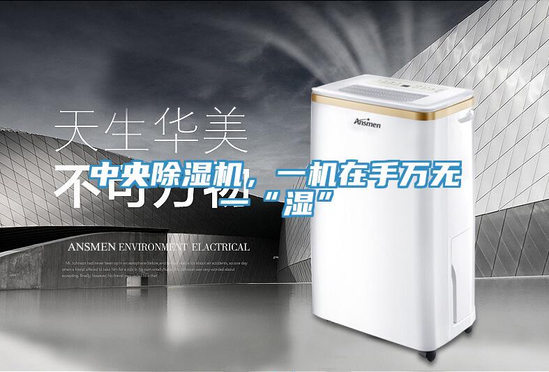 中央除濕機，一機在手萬無一“濕”