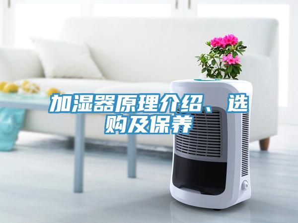 加濕器原理介紹、選購及保養(yǎng)