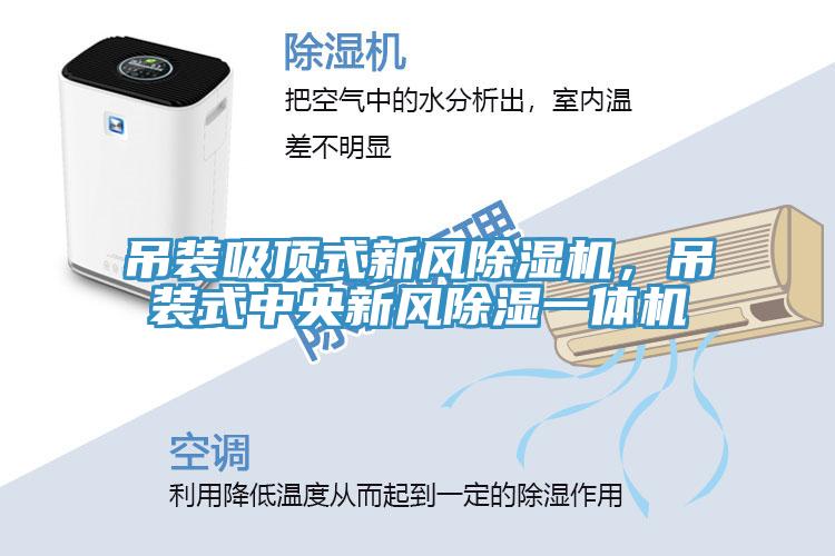 吊裝吸頂式新風(fēng)除濕機(jī)，吊裝式中央新風(fēng)除濕一體機(jī)