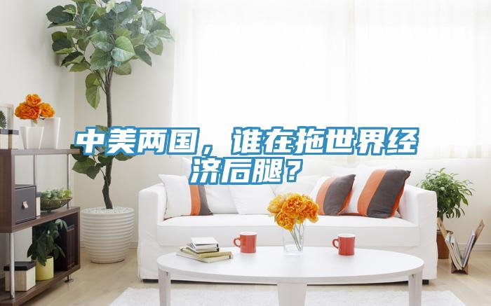 中美兩國，誰在拖世界經(jīng)濟后腿？