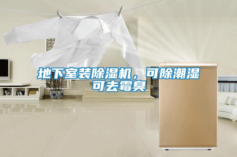 地下室裝除濕機，可除潮濕可去霉臭