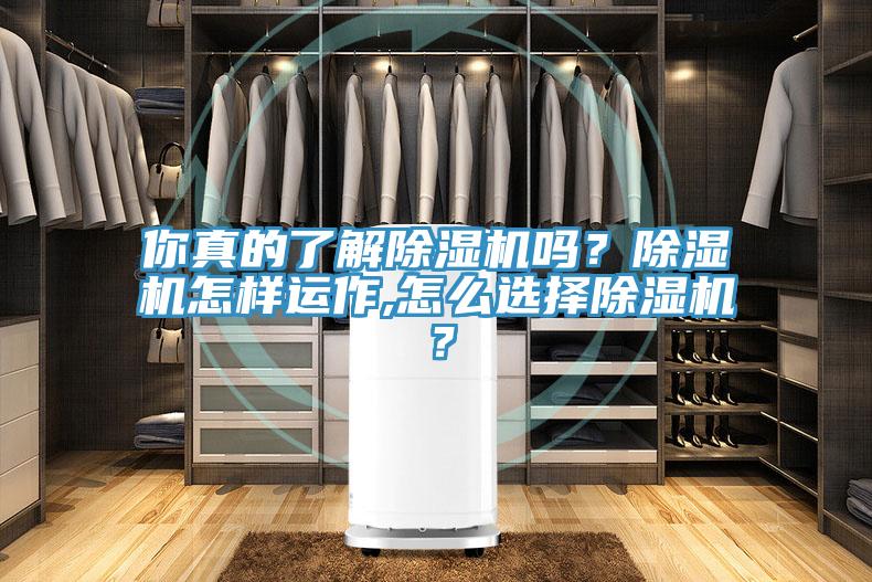 你真的了解除濕機(jī)嗎？除濕機(jī)怎樣運(yùn)作,怎么選擇除濕機(jī)？