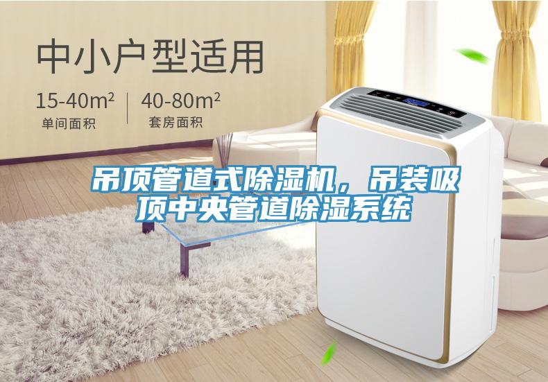 吊頂管道式除濕機(jī)，吊裝吸頂中央管道除濕系統(tǒng)