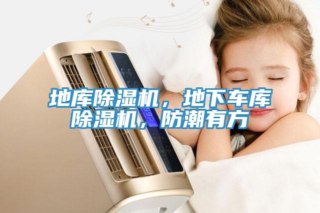 地庫除濕機(jī)，地下車庫除濕機(jī)，防潮有方