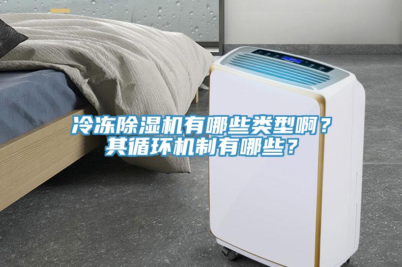 冷凍除濕機(jī)有哪些類(lèi)型?。科溲h(huán)機(jī)制有哪些？