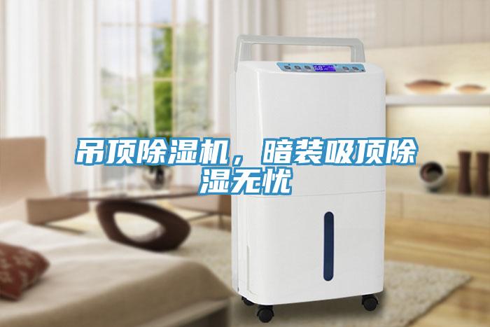 吊頂除濕機(jī)，暗裝吸頂除濕無憂