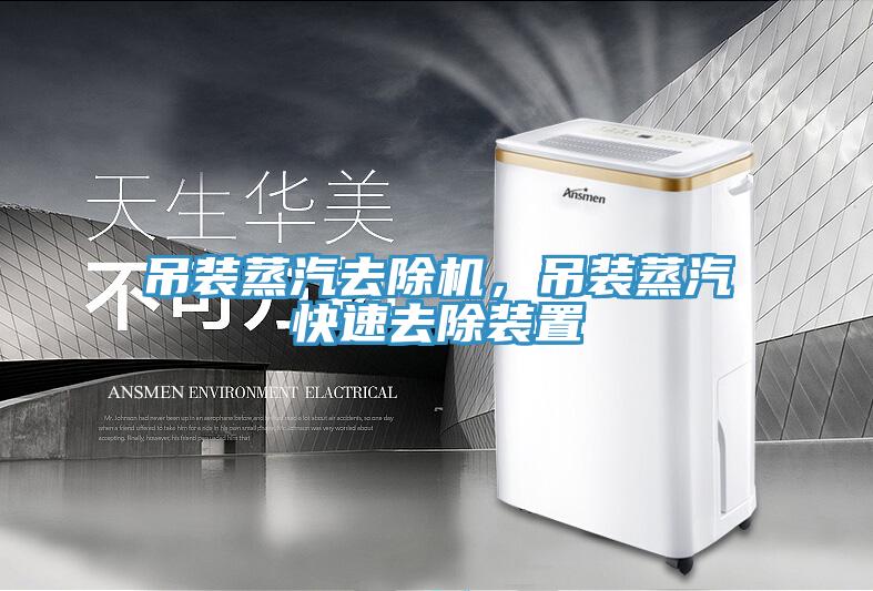 吊裝蒸汽去除機(jī)，吊裝蒸汽快速去除裝置